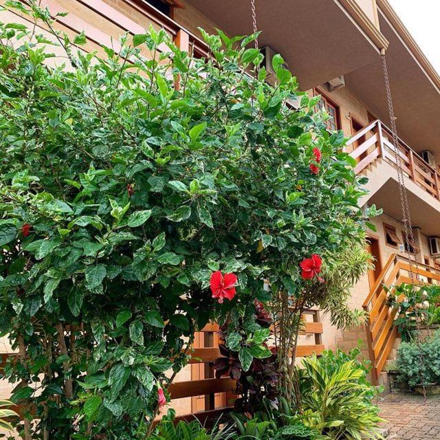 Hotel Pousada Santa Rita Ribeirão Preto Εξωτερικό φωτογραφία
